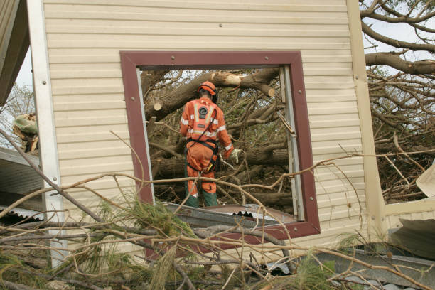 Cupertino, CA Tree Services Company